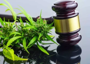 Legal Marijuana States: A Guide to Where Cannabis Is Legal